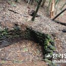 한라민박 이미지