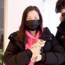 분당고양이분양 고사남 이미지