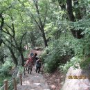 진중2리 이미지