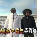 탄화와주 이미지