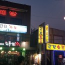 독도참치가