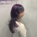 케이(K) - 헤어샵 이미지