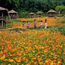용인호박등불마을 이미지