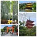 명약국 앞 건널목 | 오사카 교토여행 2일차 당일 버스투어 여행한그릇 한큐리스파이어호텔 조식 후기
