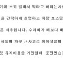 스피드카정비 이미지