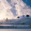 진수목장 이미지