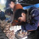 원반농장 이미지