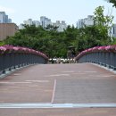 종촌동공영주차장앞 이미지