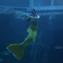 굴전여가캠핑장 이미지