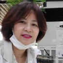 진이야인셀덤