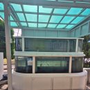 장호주유소(관광랜드) 이미지