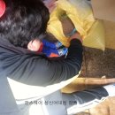 화천방앗간 이미지