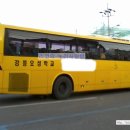 강릉오성학교 이미지