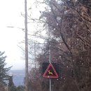 동백꽃식당 이미지