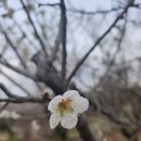 샬롬농장 이미지