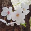 명장1동-8 이미지