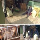 찬호농장 이미지