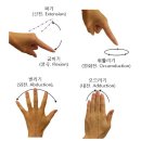 아레아필라테스 이미지