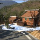 소선암자연휴양림 이미지