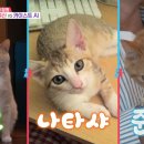 이장원농장 이미지