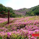봉화산 이미지