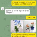 W4. 결혼준비기록 : 상견례 선물 추천 | 서양난,바람떡 | 영인플라워스튜디오, 온예당