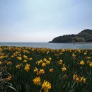 보옥농장 Daum카페