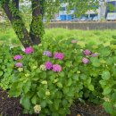 새통영농업협동조합광도지점 이미지