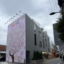 월드모토 | 케이스티파이 도산 매장 무라카미 월드 팝업 예약 방문후기 주차 리플케이스