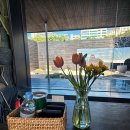 반월펜션 이미지