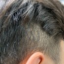건성 비듬샴푸 추천 임영웅 TS비디샴푸 사용후기