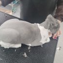 미용천하 이미지