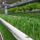 수경목장 이미지