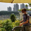 테라스하우스 이미지