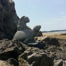 청포대민박 이미지