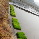 은진면사무소 이미지