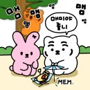 맴맴 티스토리