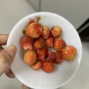 엄키 이미지