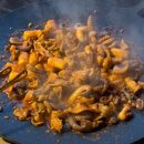 강촌강변오토캠핑장 | 한탄강 오토캠핑장 강변야영장 2주 연속 다녀온 뒷이야기