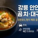 안인진길 티스토리