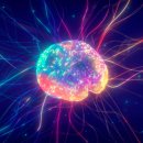 반야월로 이미지