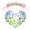 동보성 | 독산중화요리맛집 김보성말고 동보성