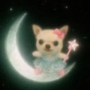 6531 | 테무 추천템 내돈내산 바지 안경 셔츠 뽀모도로 타이머 미니다리미 여행템