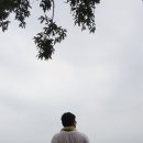 솔밭지 | [부산]연상동배산 배산등산 소풍 김밥 금정산솔밭집 닭백숙 도토리묵 파전 식물원 금정산맛집