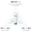 캐터스 이미지
