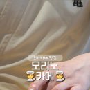 모리노카메 이미지
