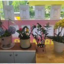 부영부동산공인중개사사무소 이미지