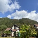 라스텔라편백숲 | 전남 장성 가족과 함께 쉬기좋은 온돌펜션 추천 : 라스텔라편백숲 펜션