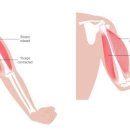 나비드짐 PT&필라테스 선릉점 이미지