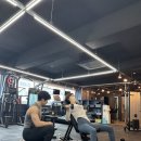 라인피티 이미지